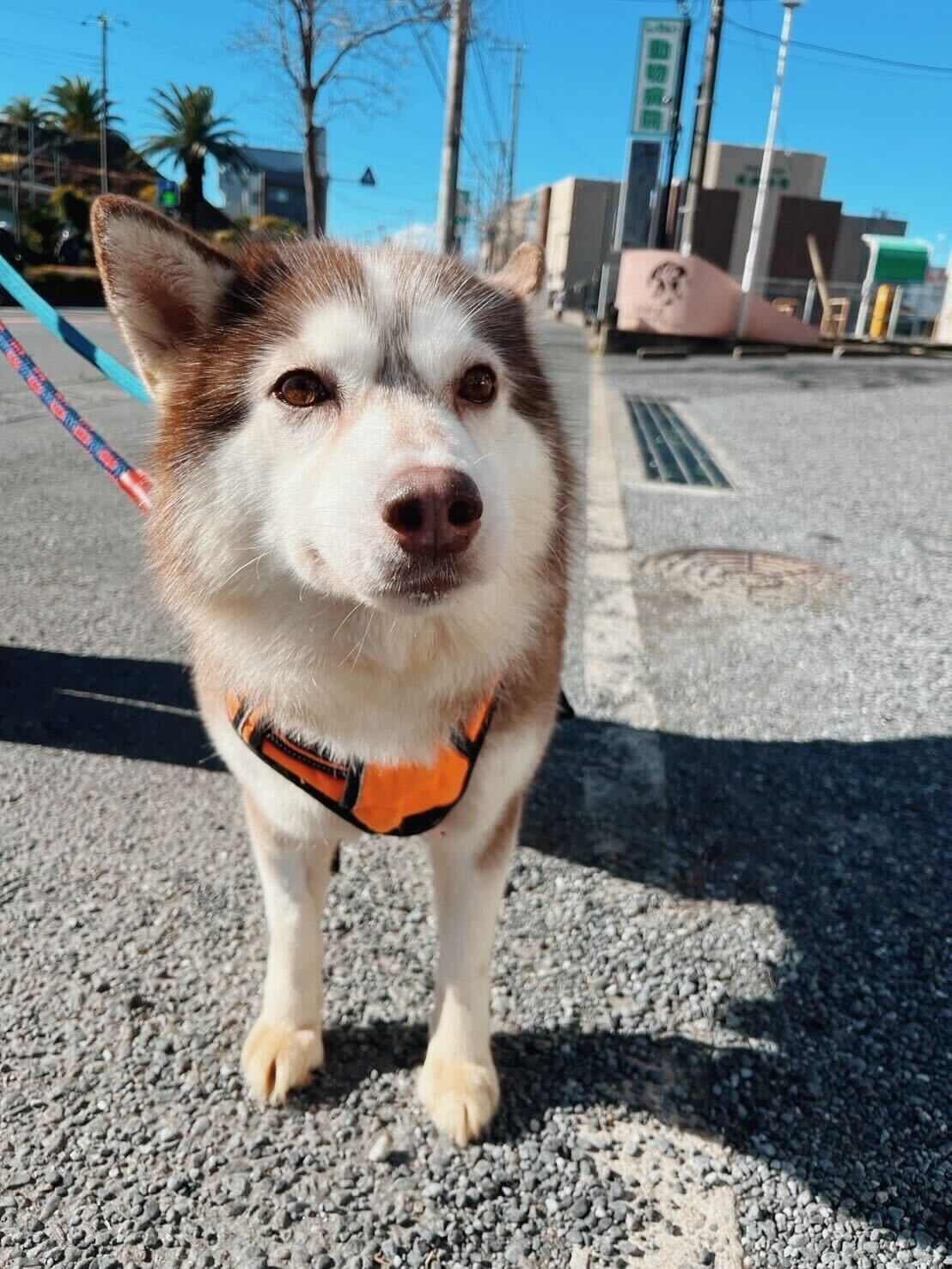 クリスタルの画像2