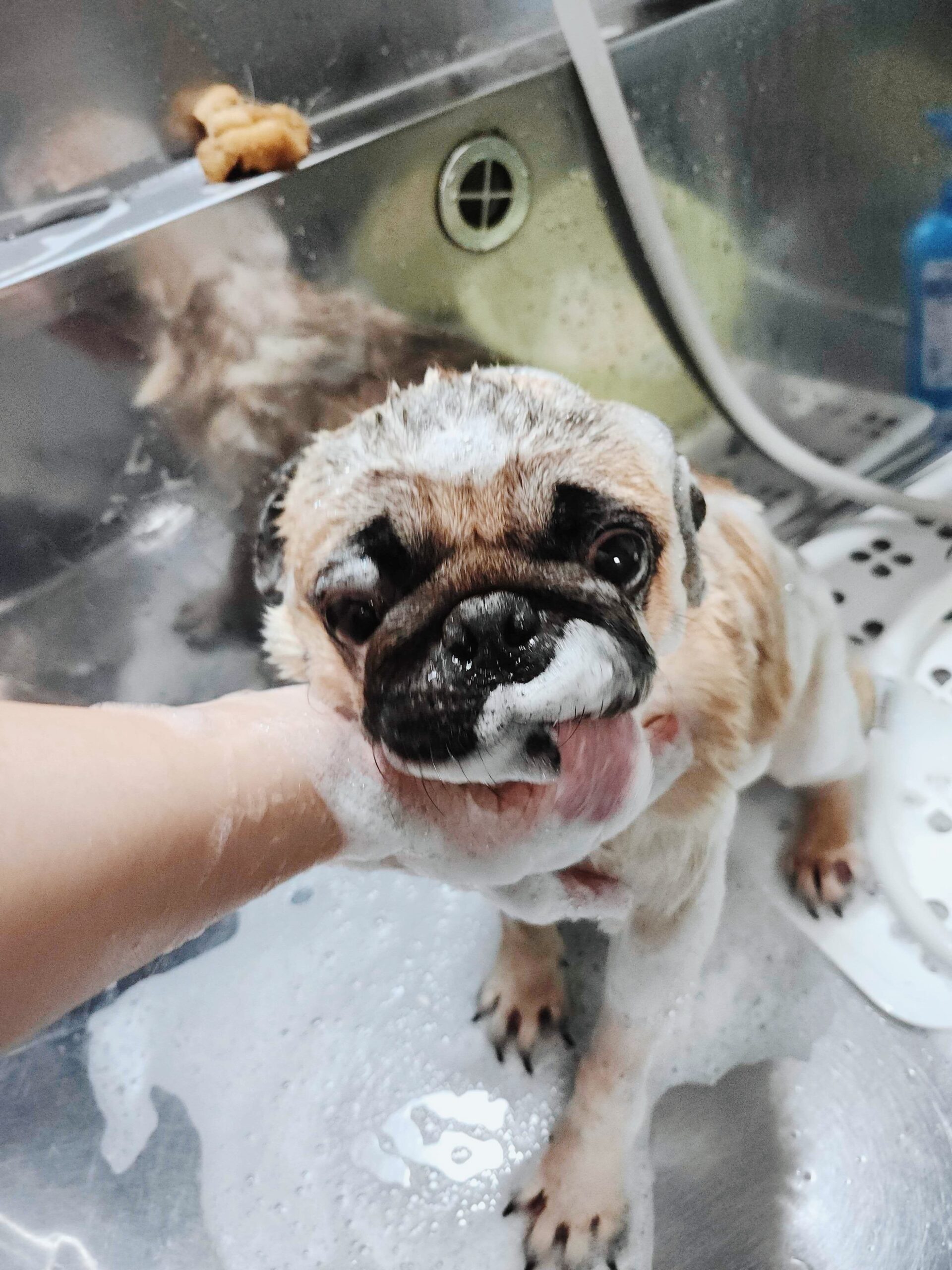 クララベルの画像1