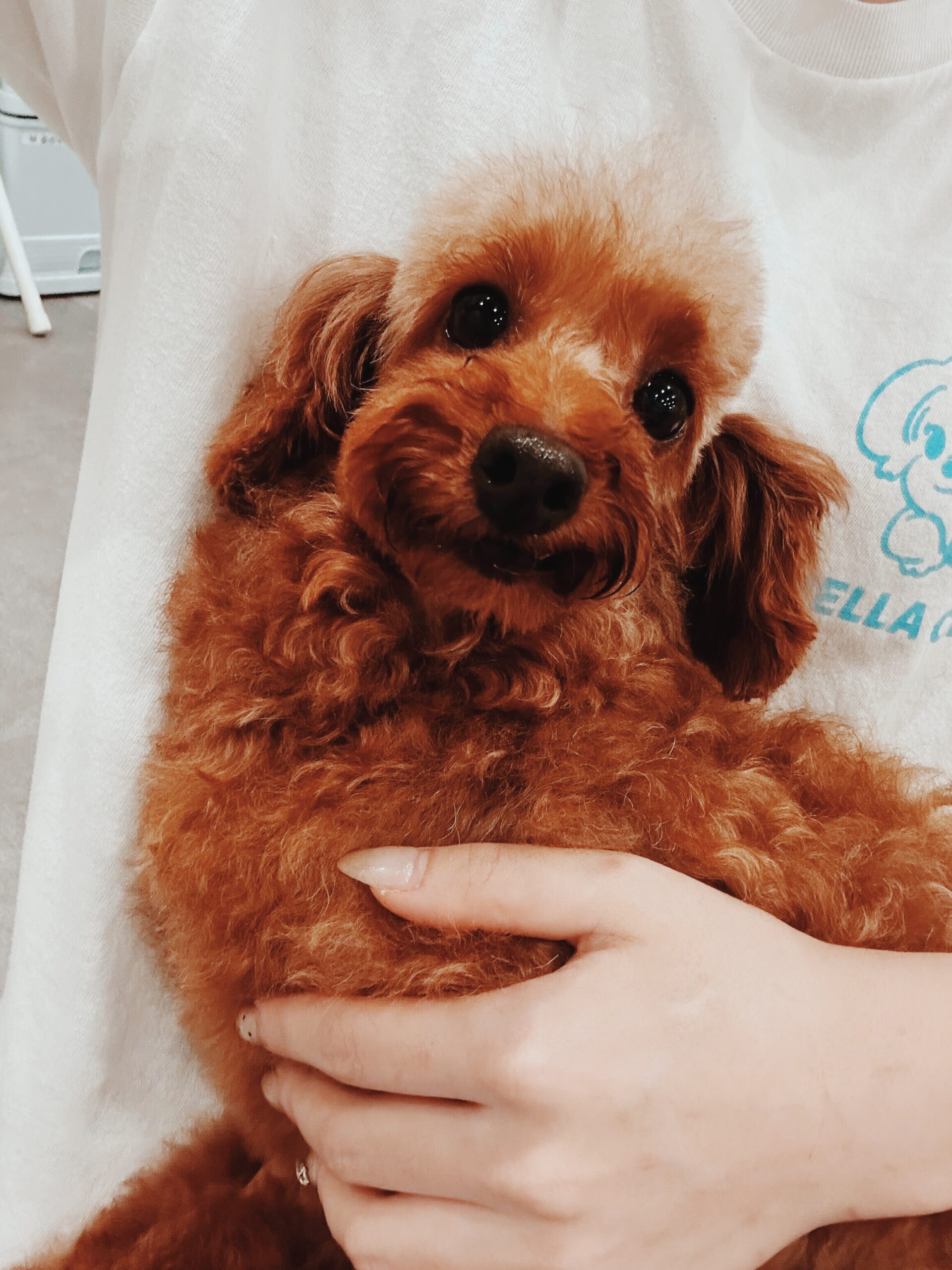 かっぱえびせんの画像2