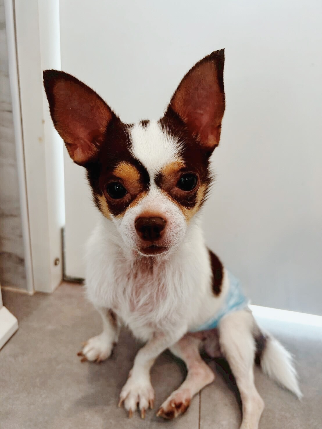 バルストロードの画像3