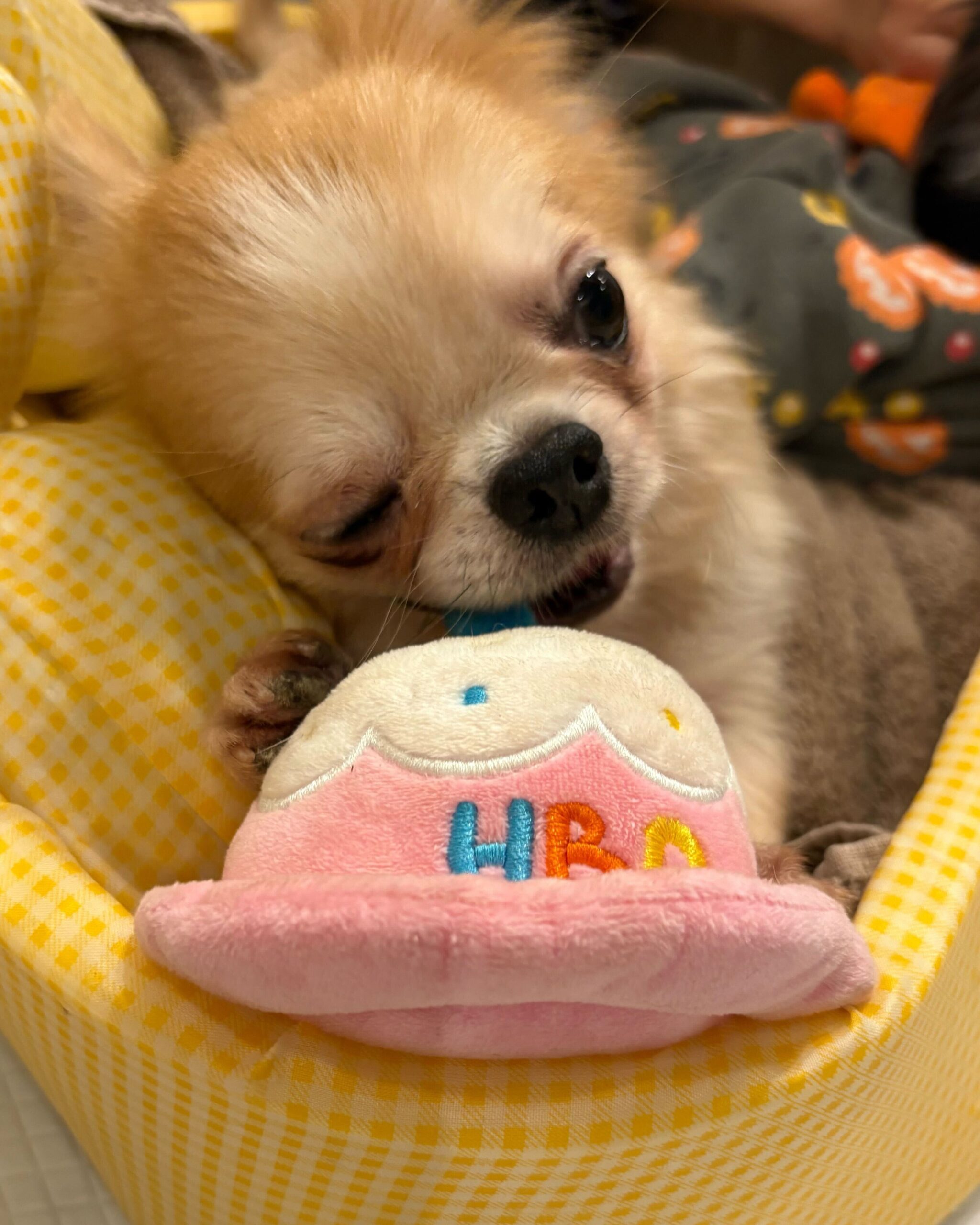 タイラーの画像3