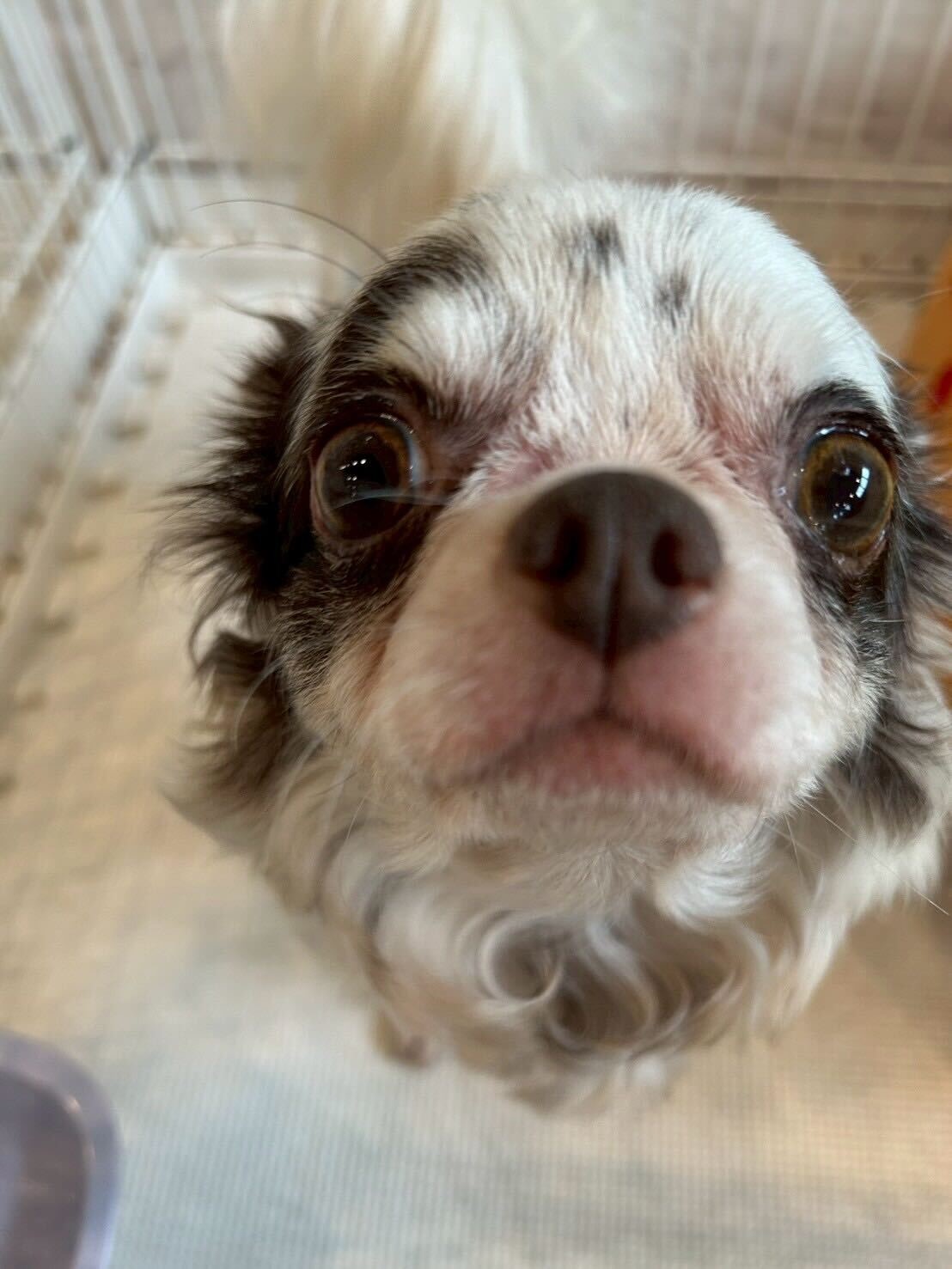 ホチキスの画像1