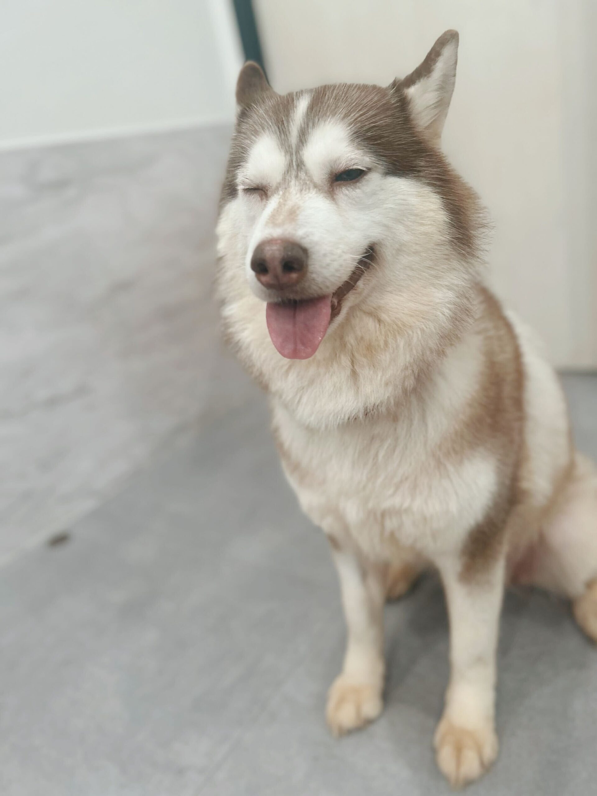 クリスタルの画像3