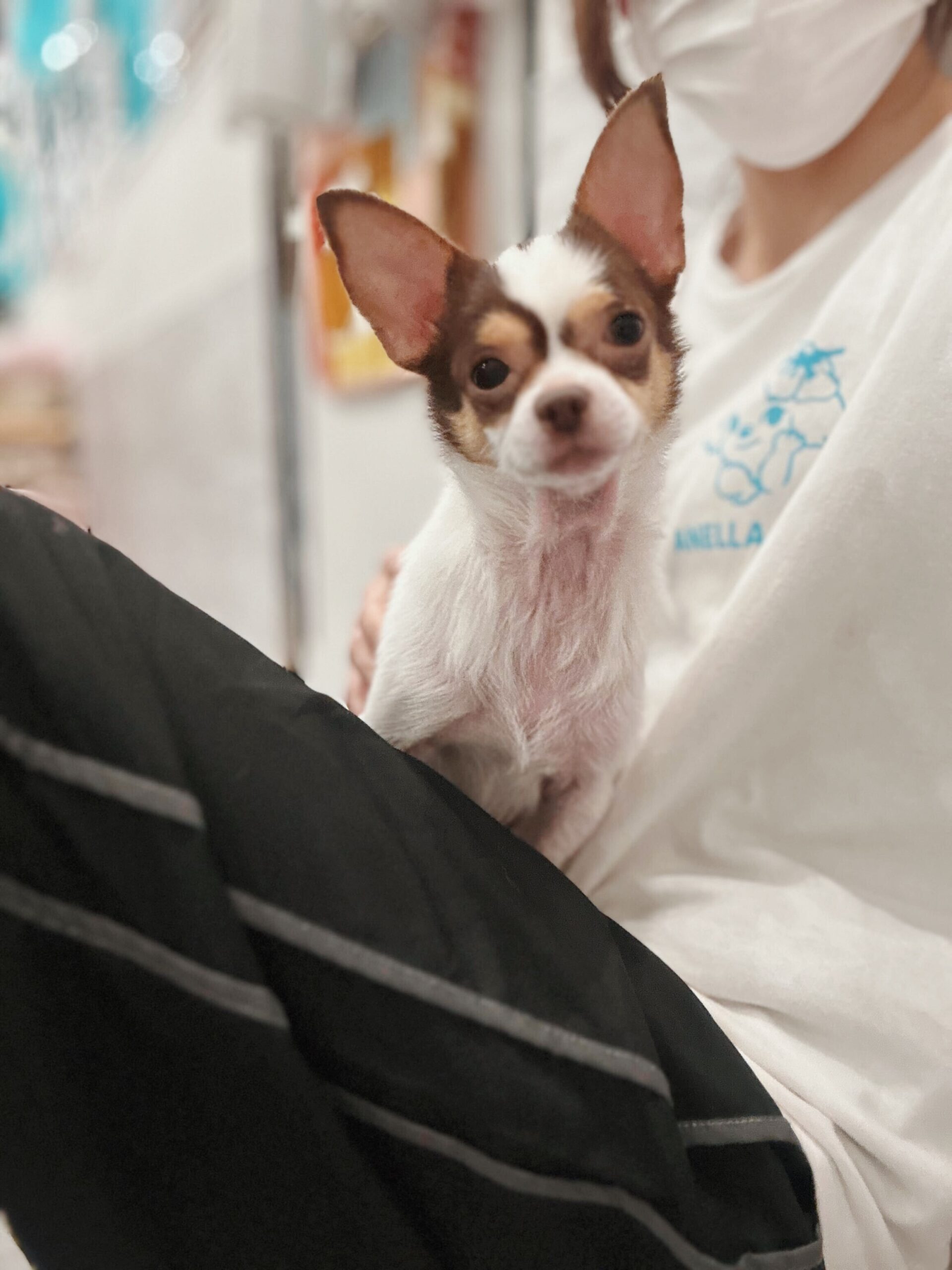 バルストロードの画像2