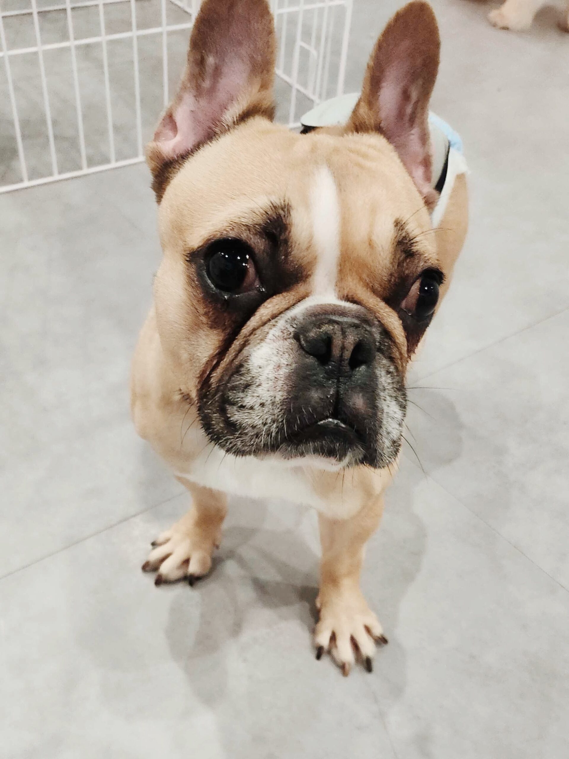 ダンスホールの画像3