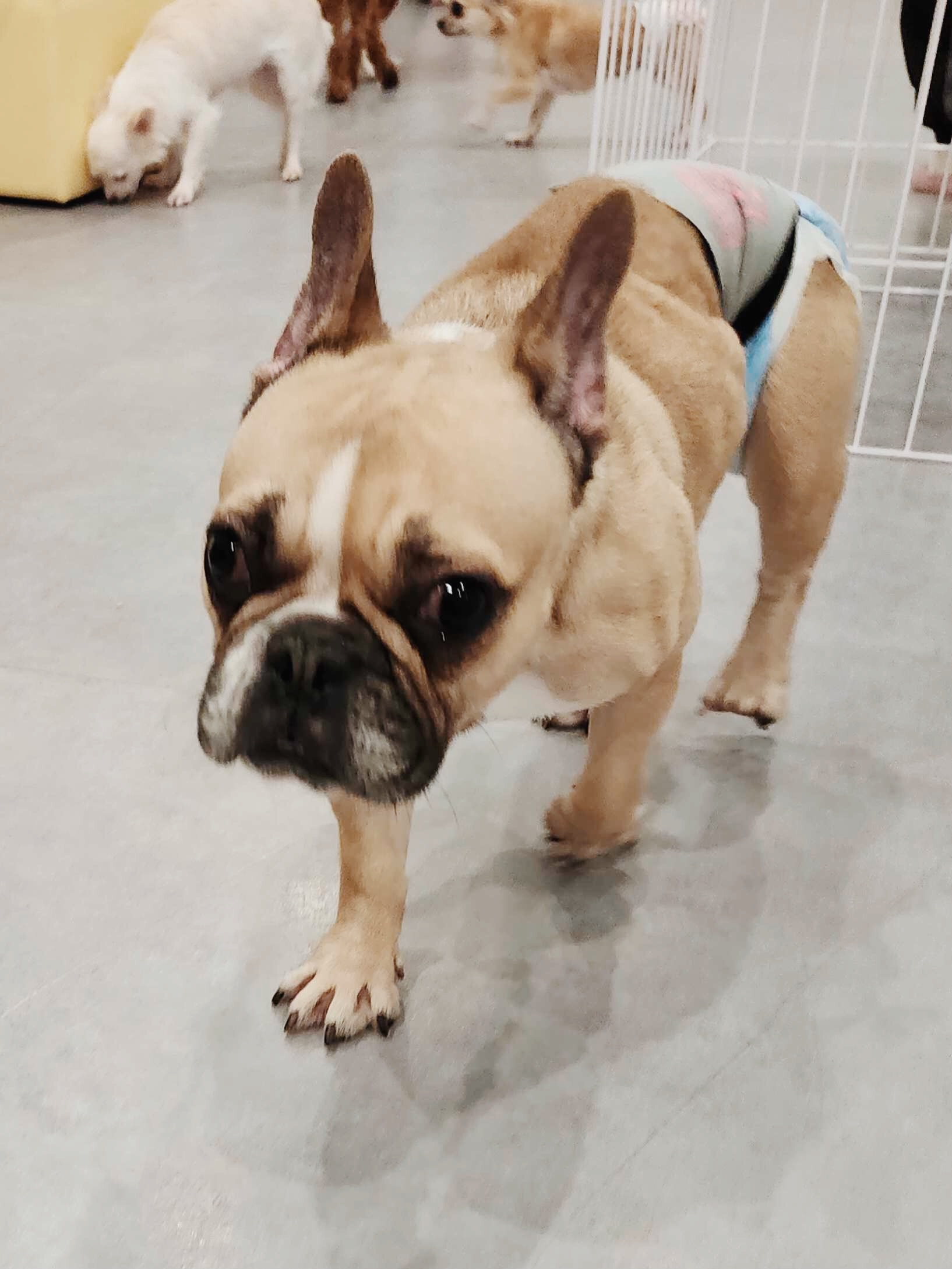 ダンスホールの画像1