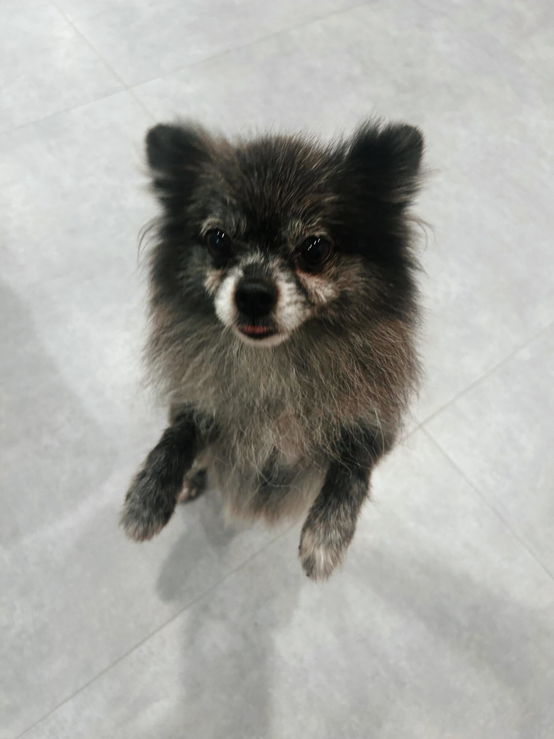 マーシャルの画像1