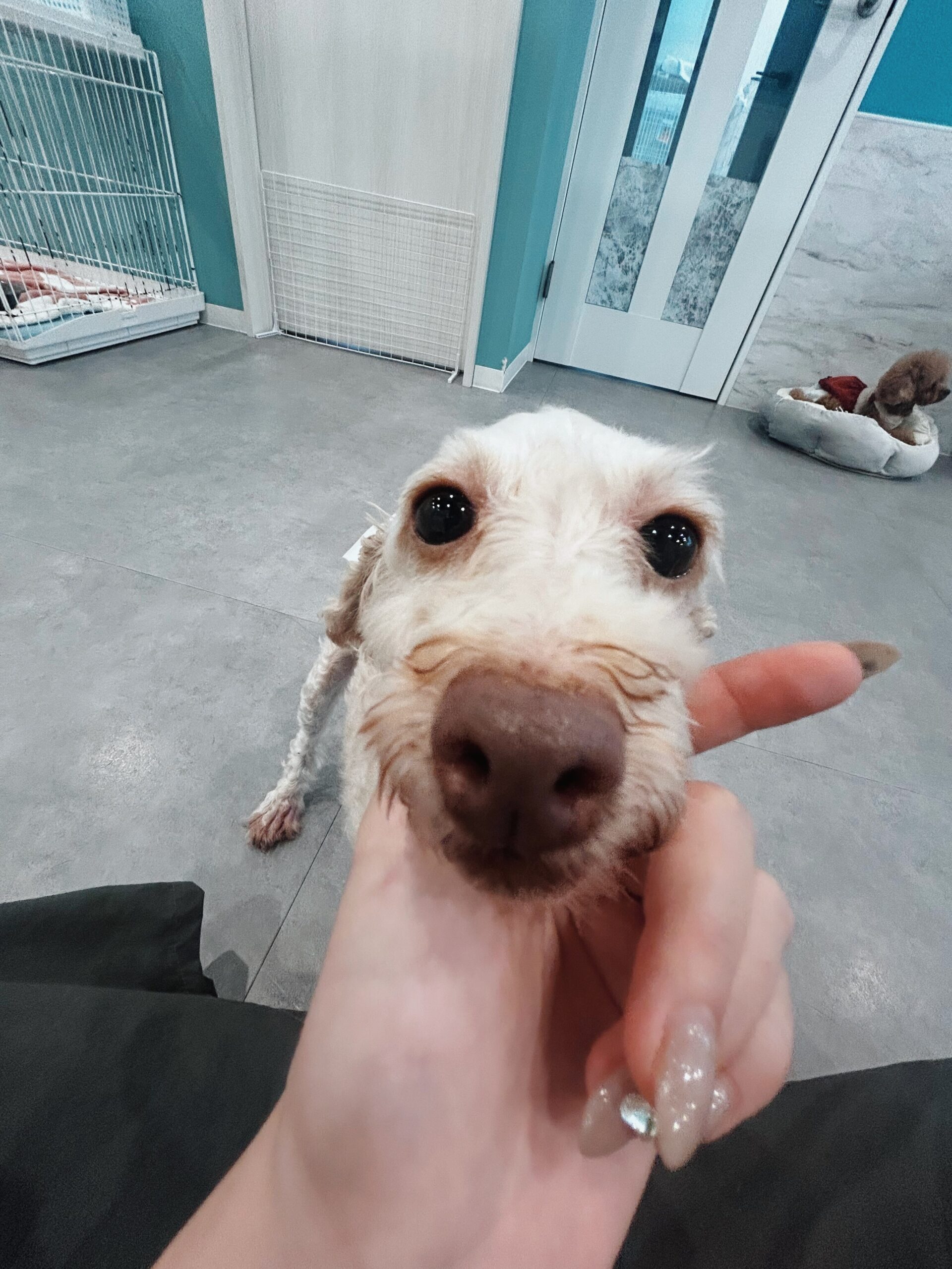 カラムーチョの画像1