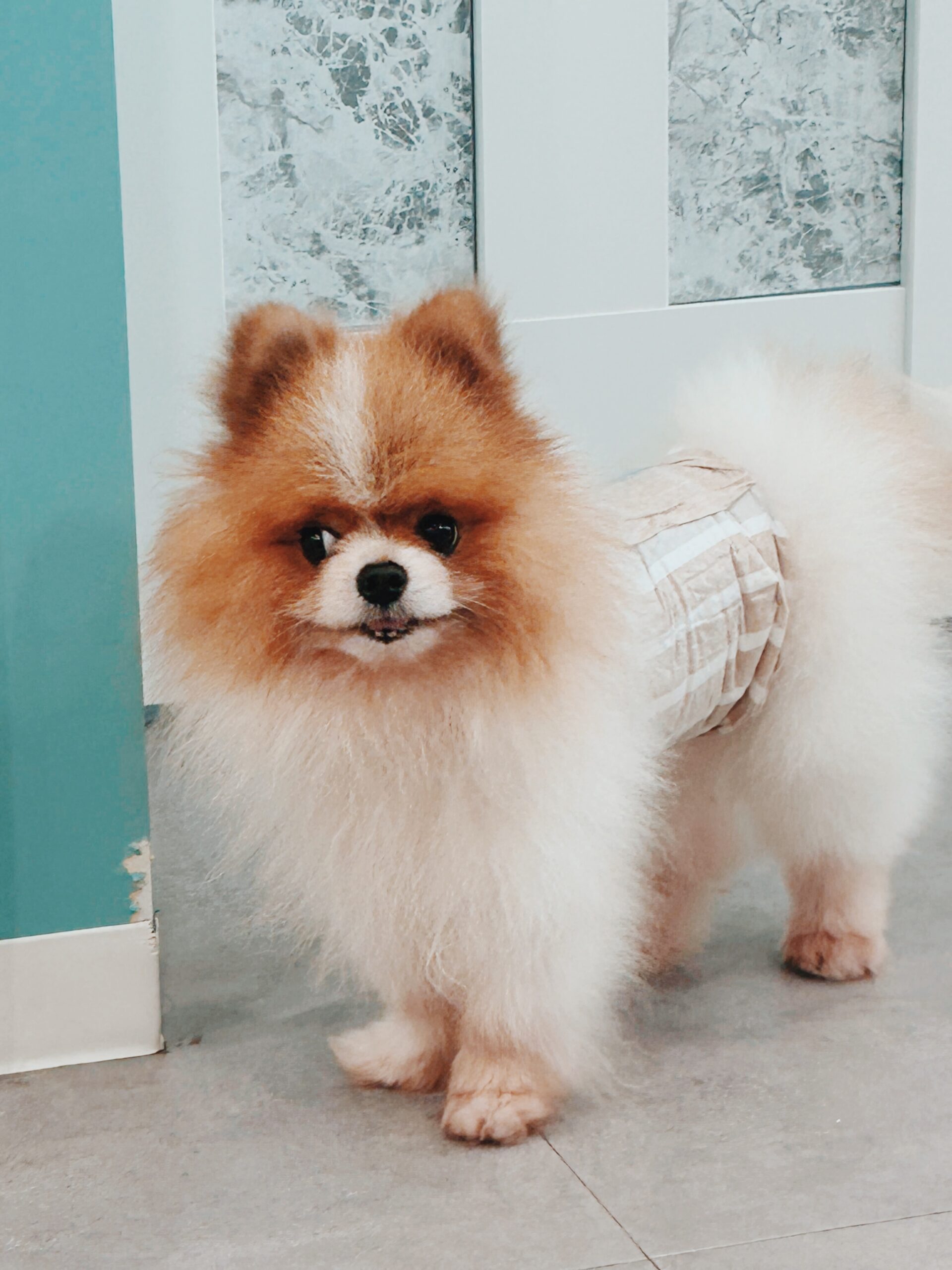 チップスターの画像2