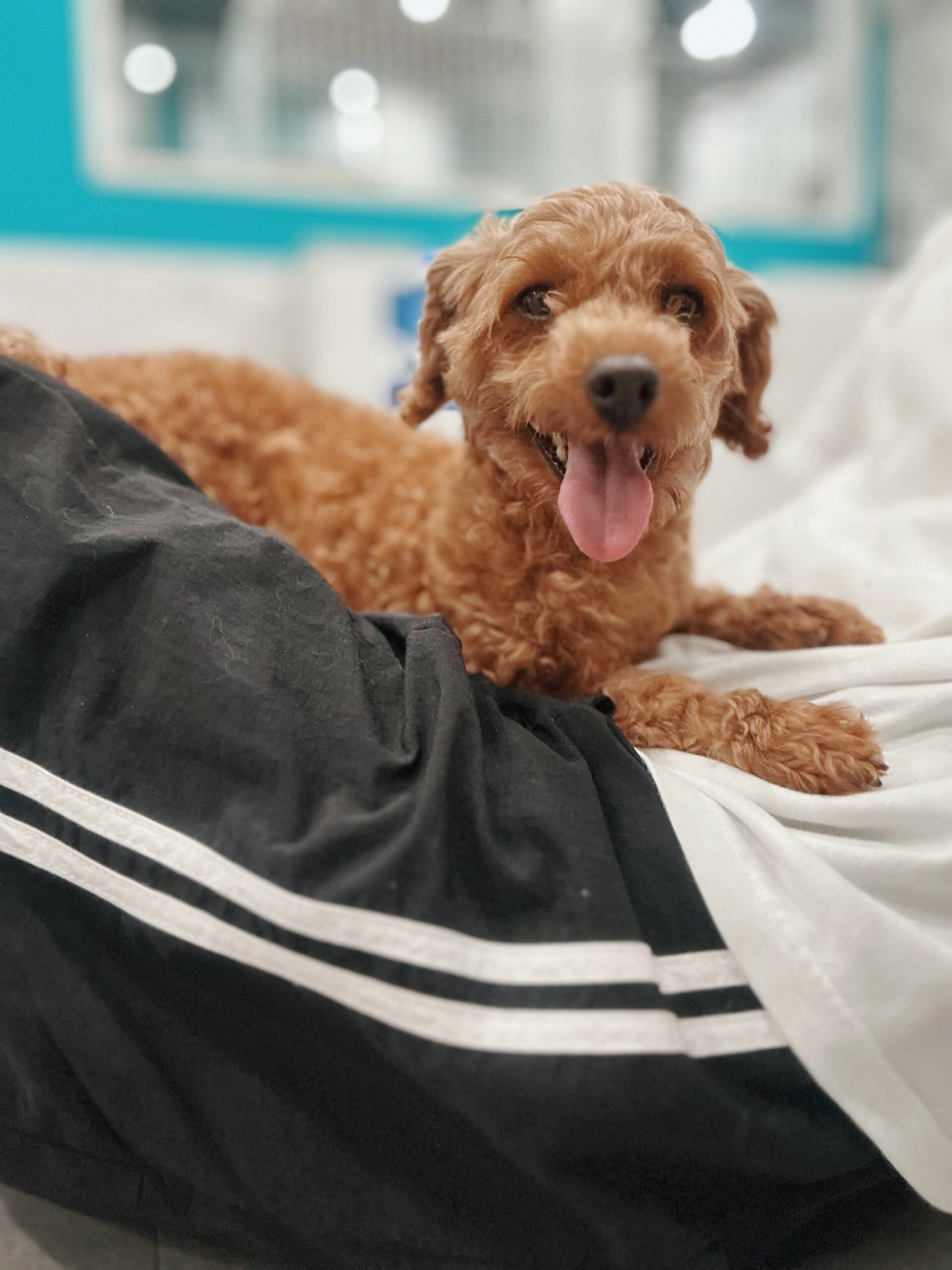 ツンツンの画像3