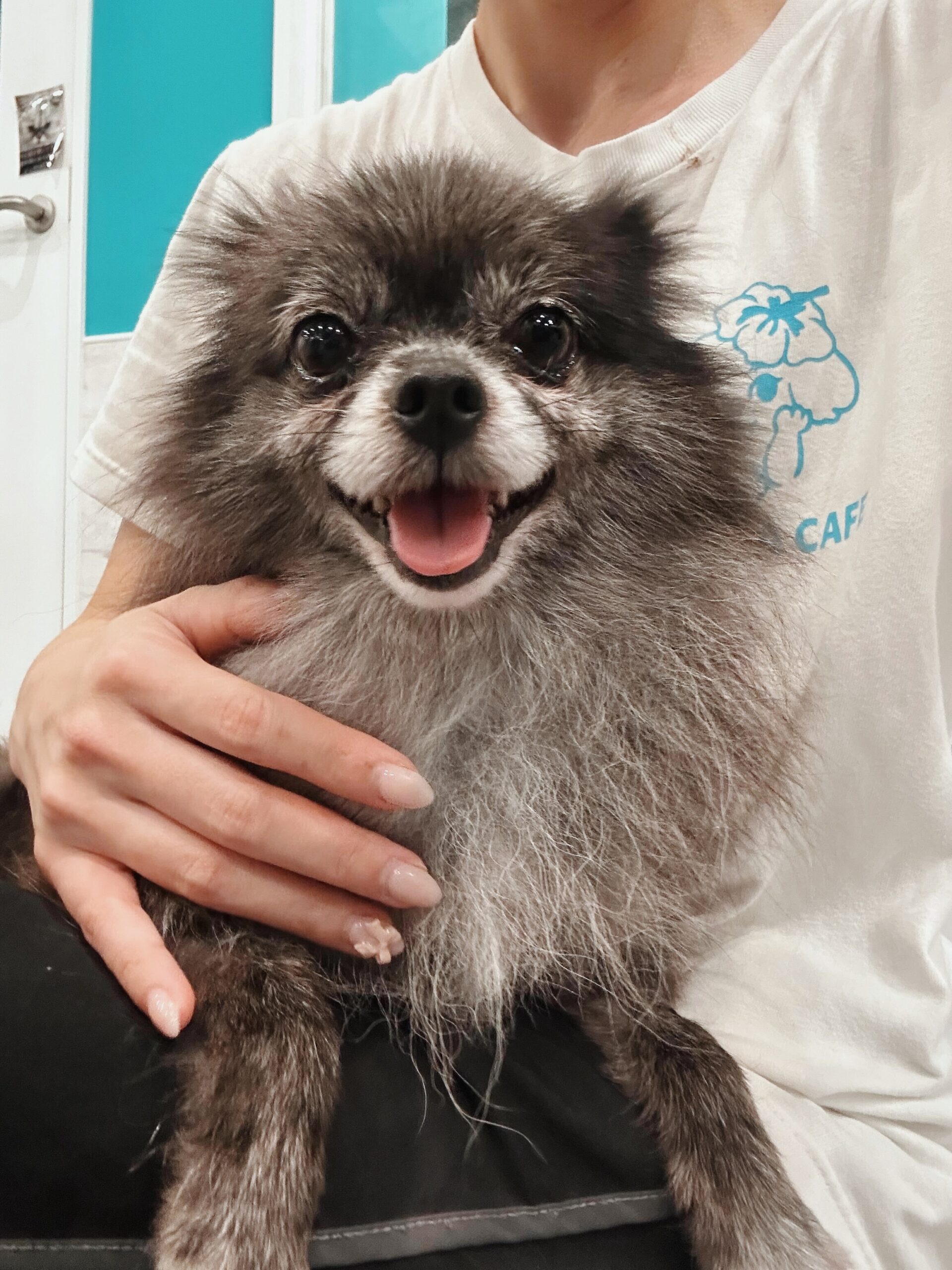 マーシャルの画像2