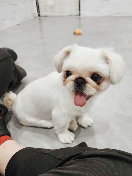 ジュディの画像2