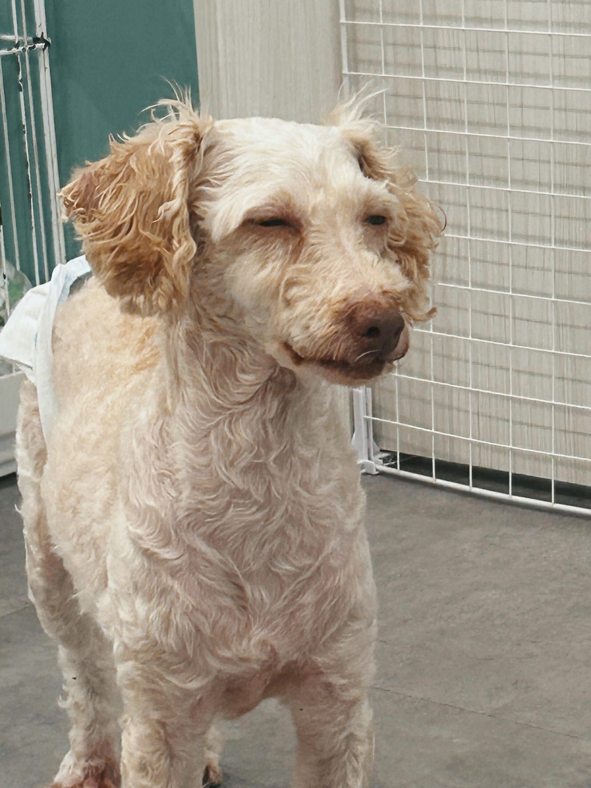 カラムーチョの画像3