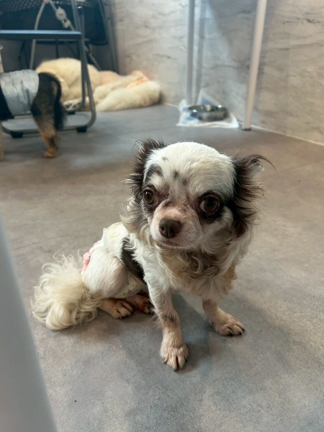 ホチキスの画像2