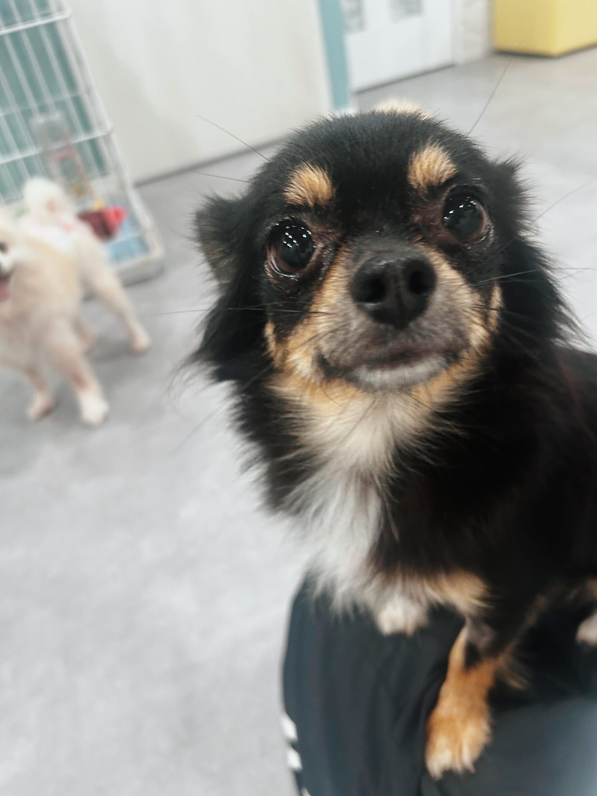 フォンテーヌの画像2