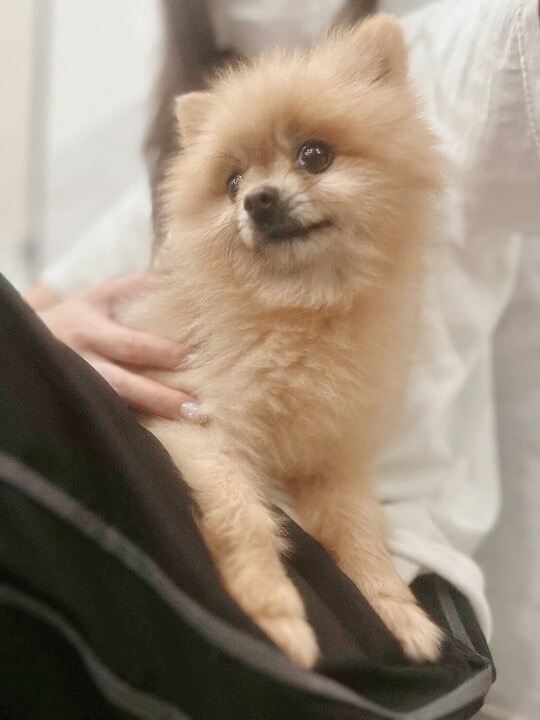 ノンノンの画像2