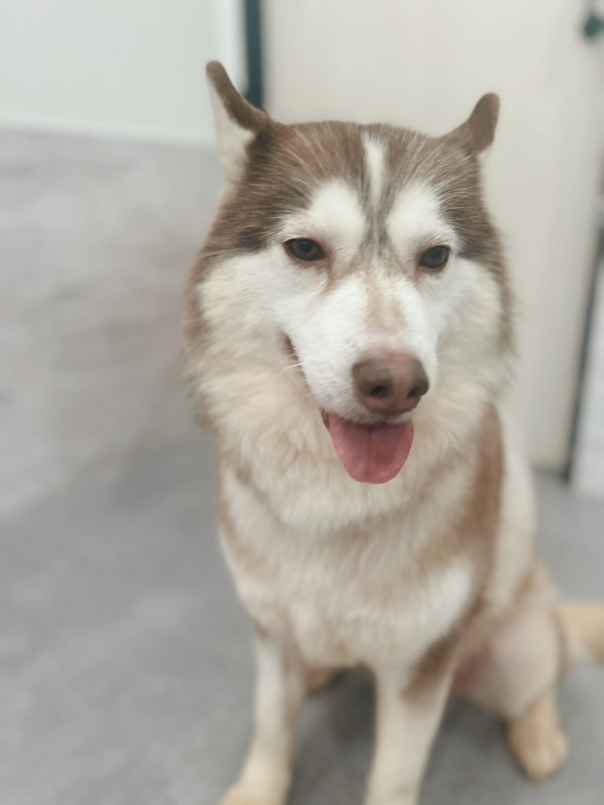 クリスタルの画像1