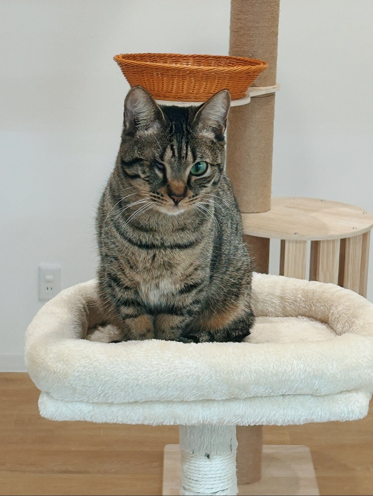 ライトニングの画像1