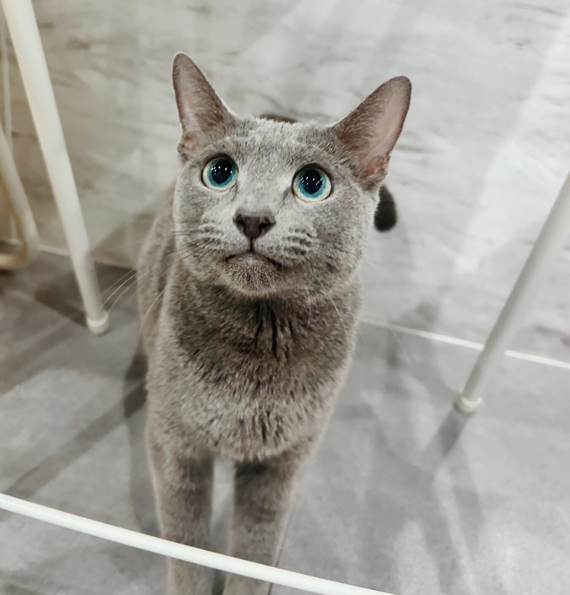 こうらくの画像1