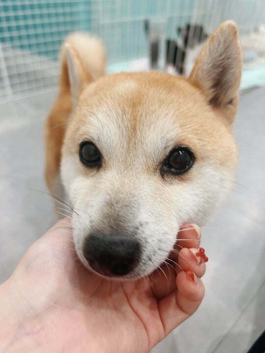 カリフォルニアの画像2