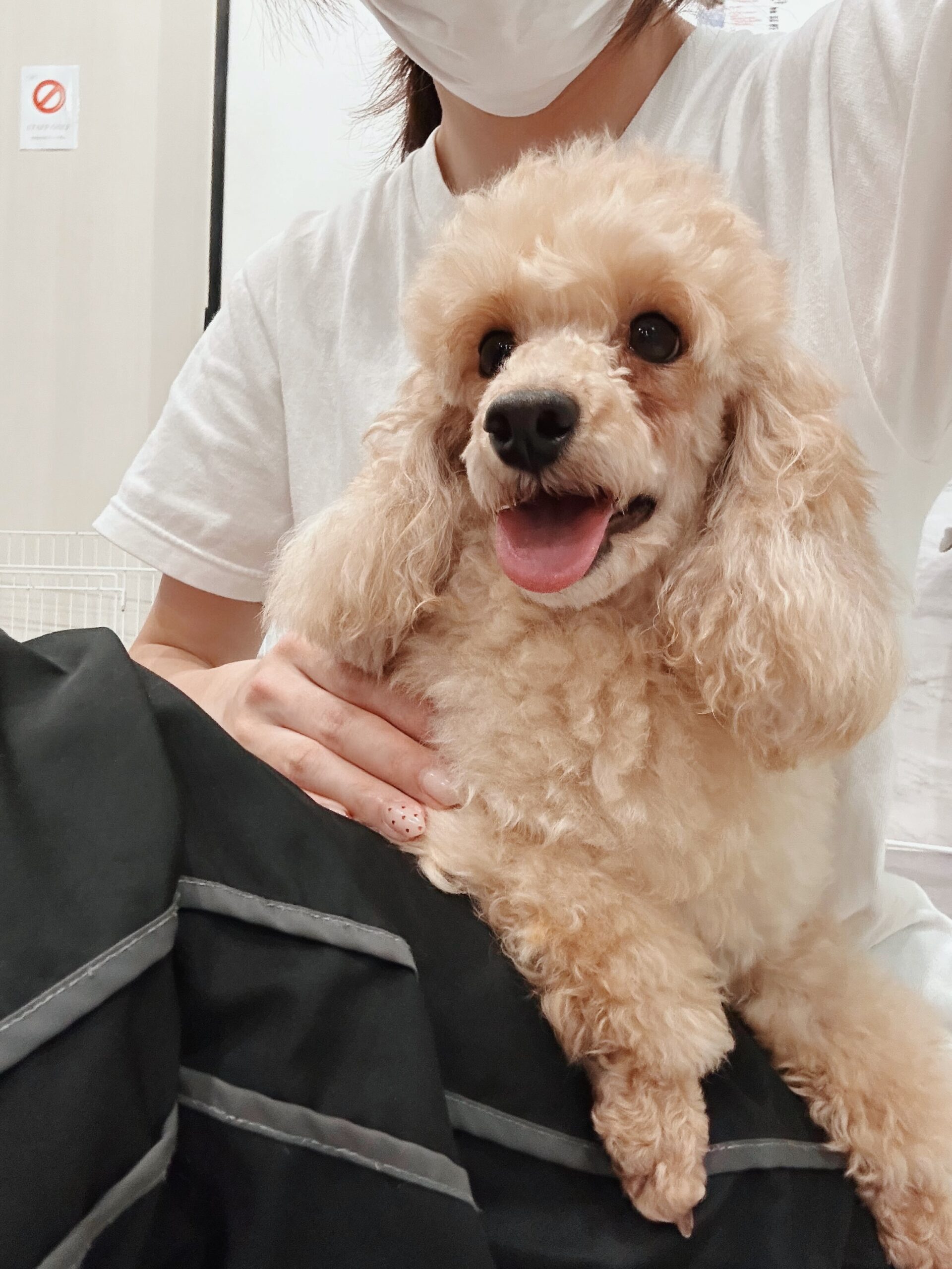 シューマンの画像1