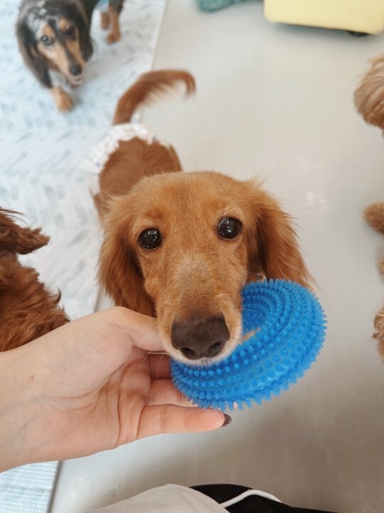 まさよしの画像1