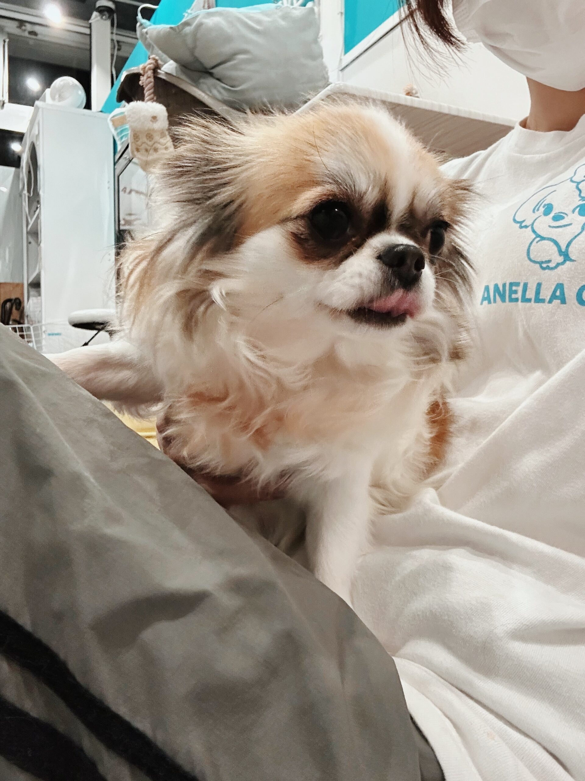 よりともの画像1