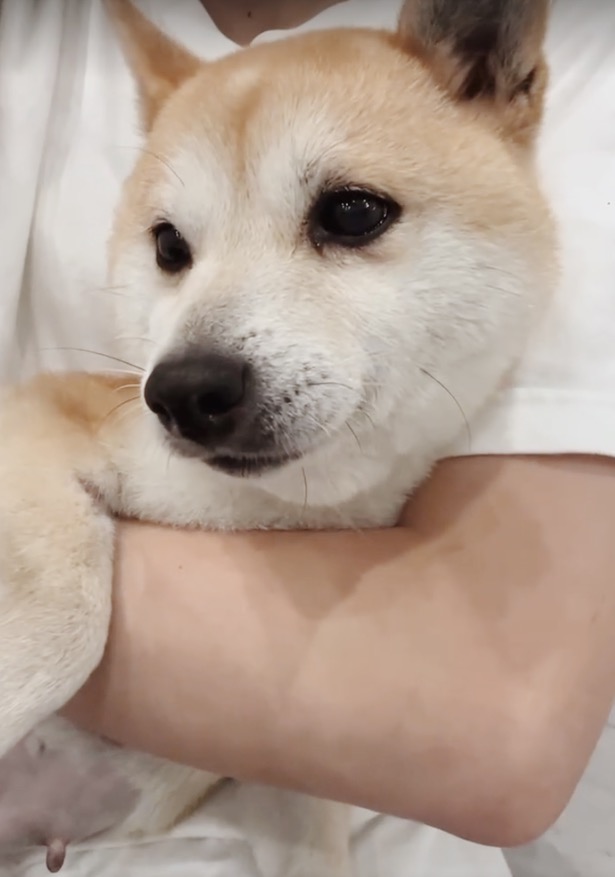 カリフォルニアの画像1