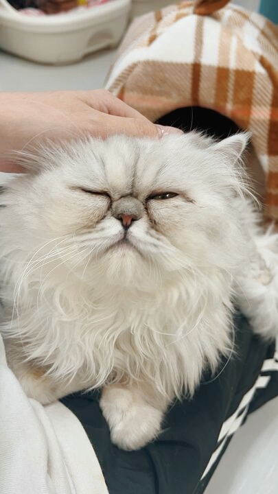 アクアマリンの画像1