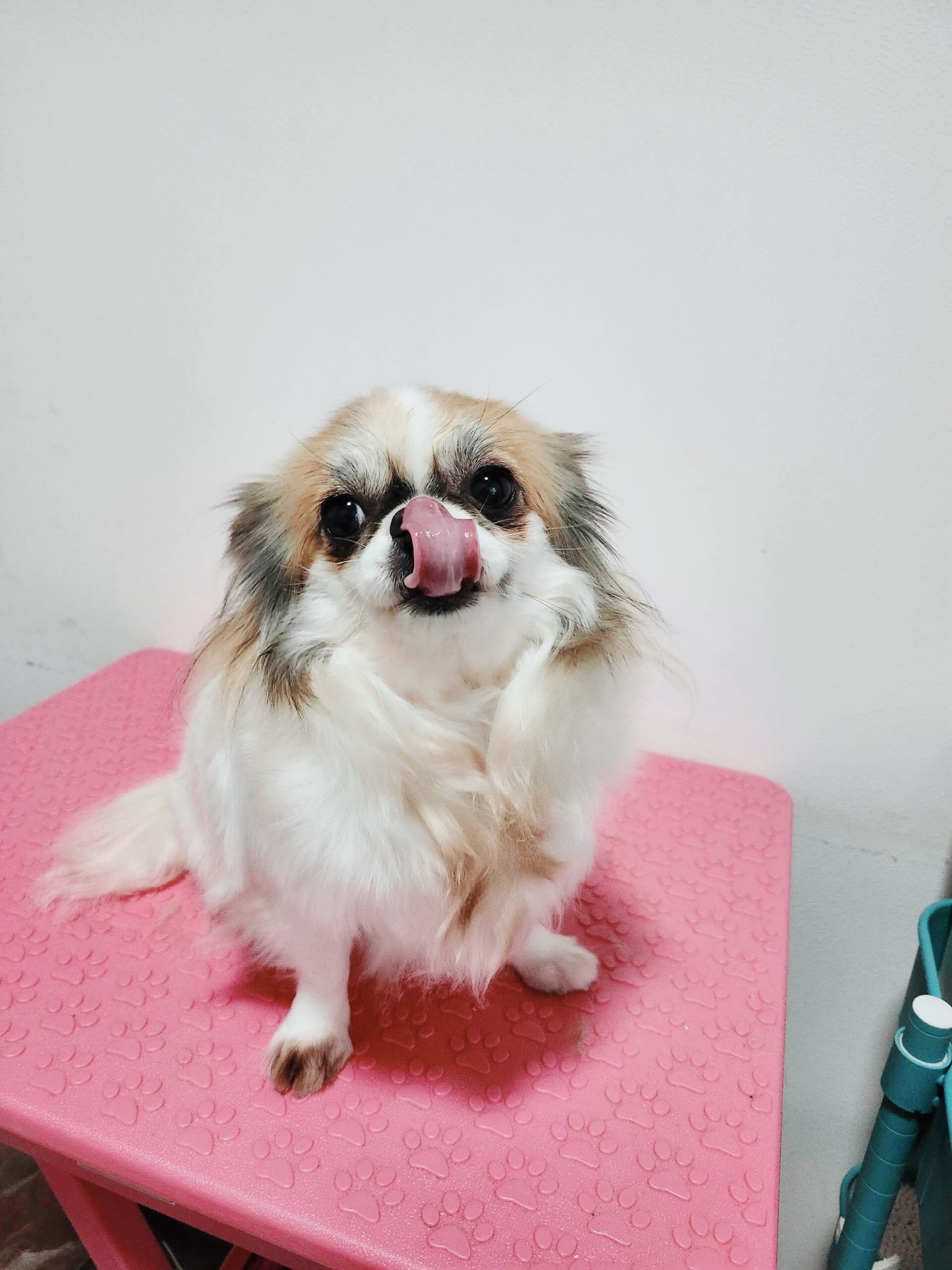 よりともの画像3