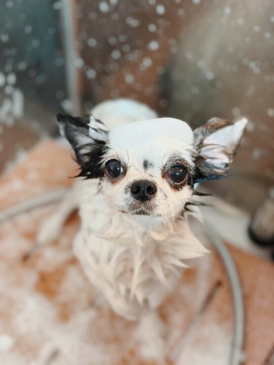 いしかりの画像1