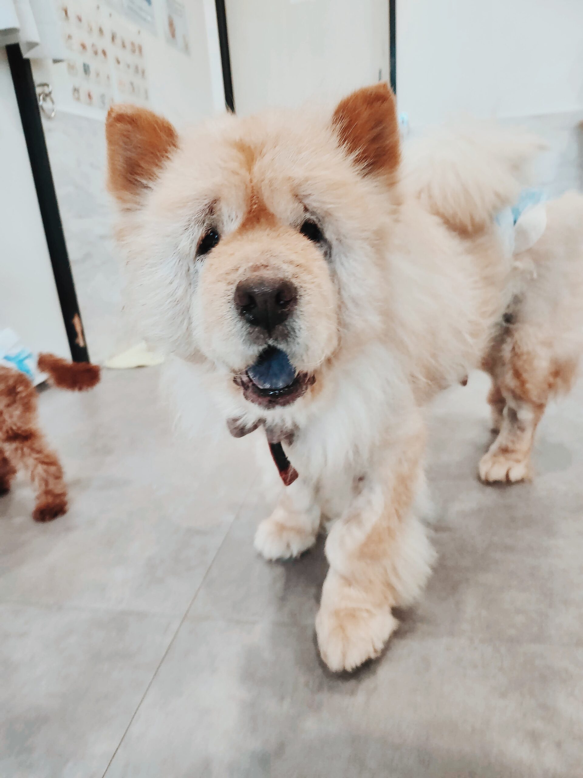 トランペットの画像3