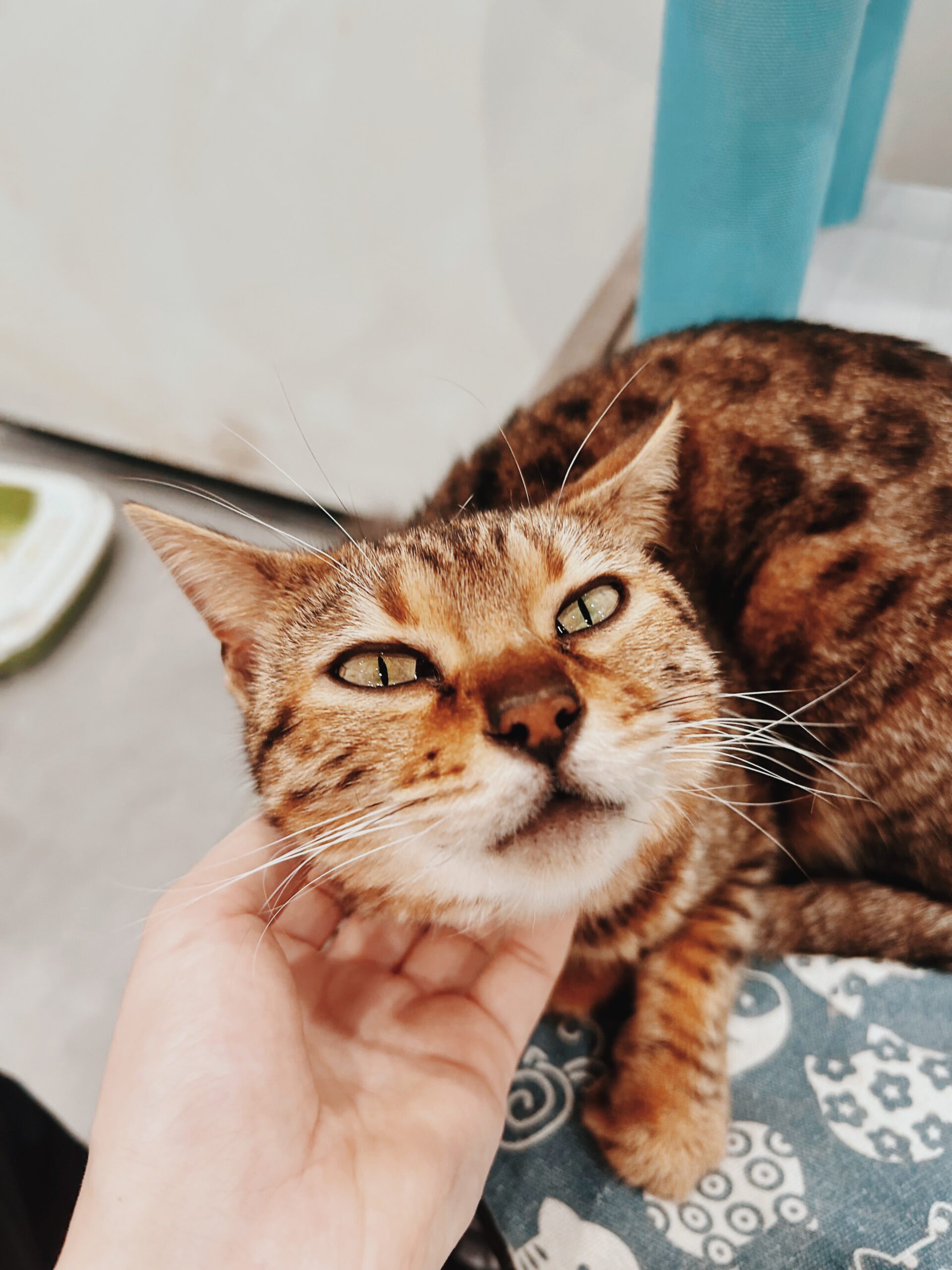 じんづうの画像2