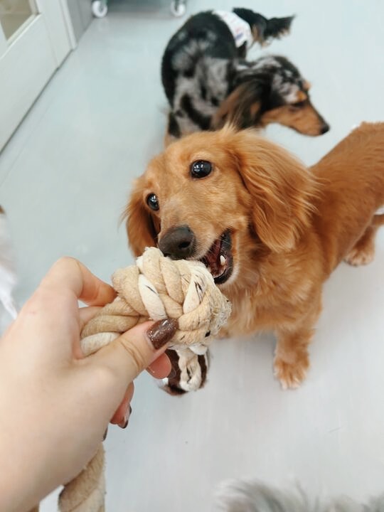 まさよしの画像2