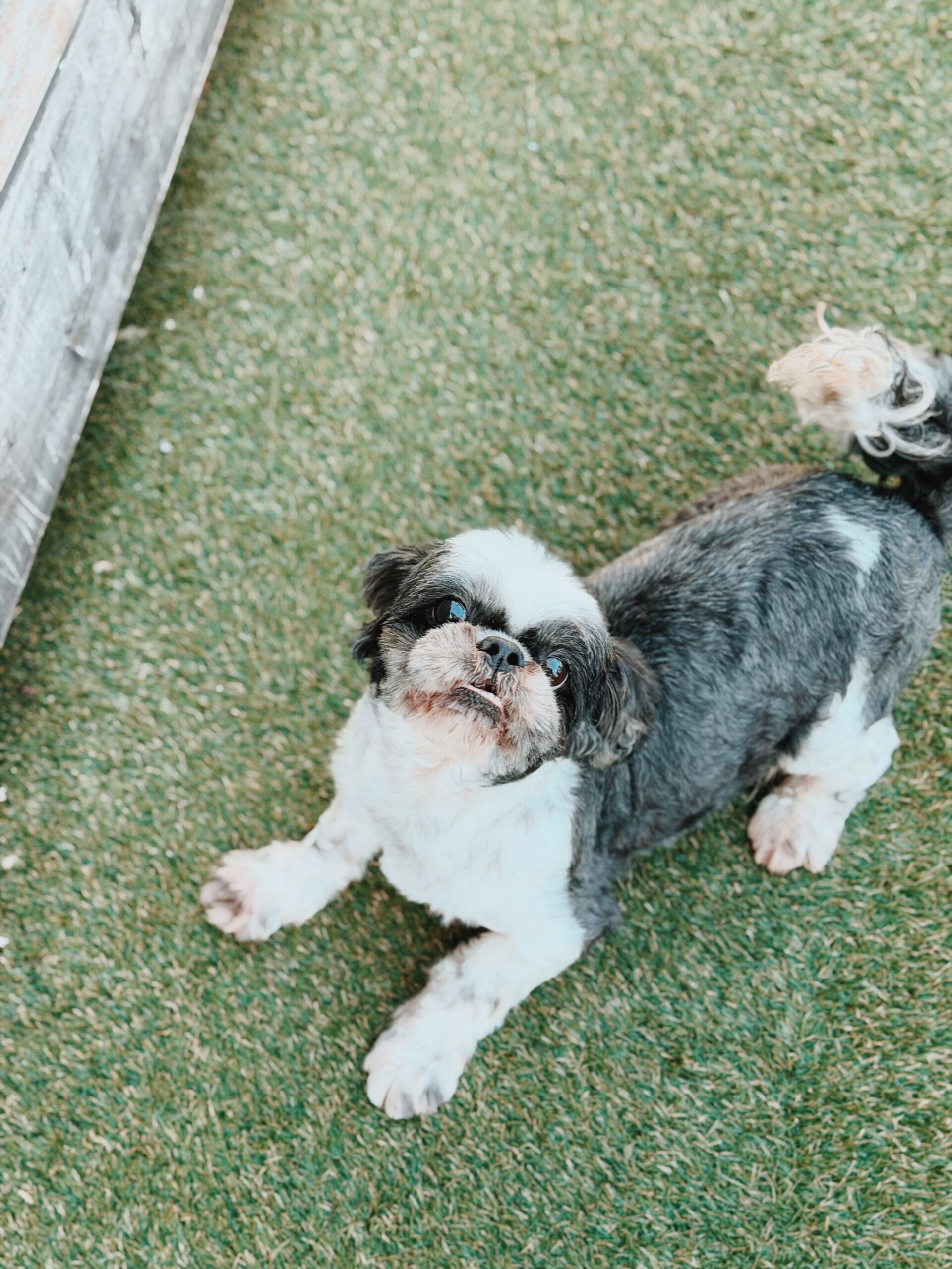 たかもりの画像1