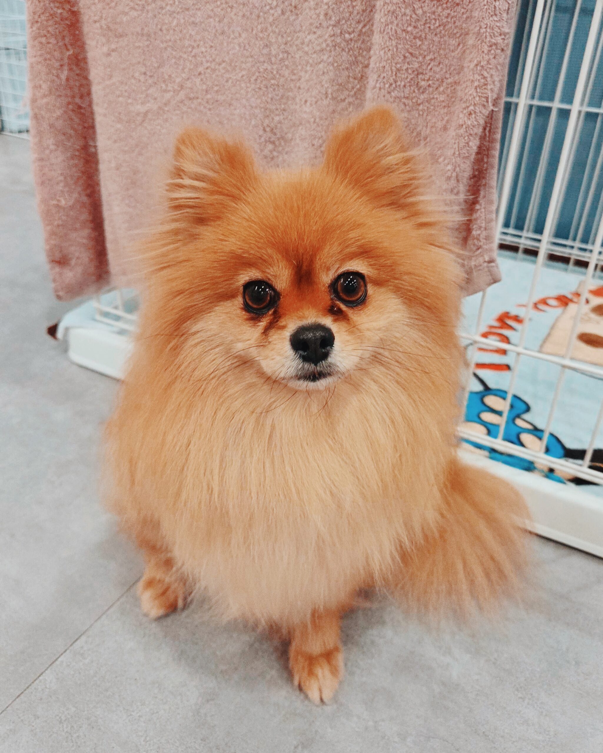 フロリダの画像1