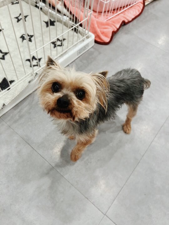 コロラドの画像2