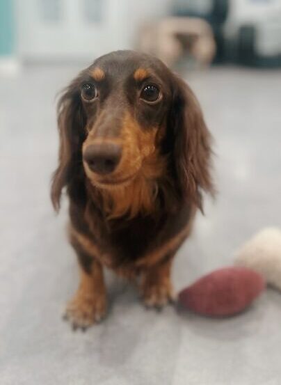 ペリドットの画像2