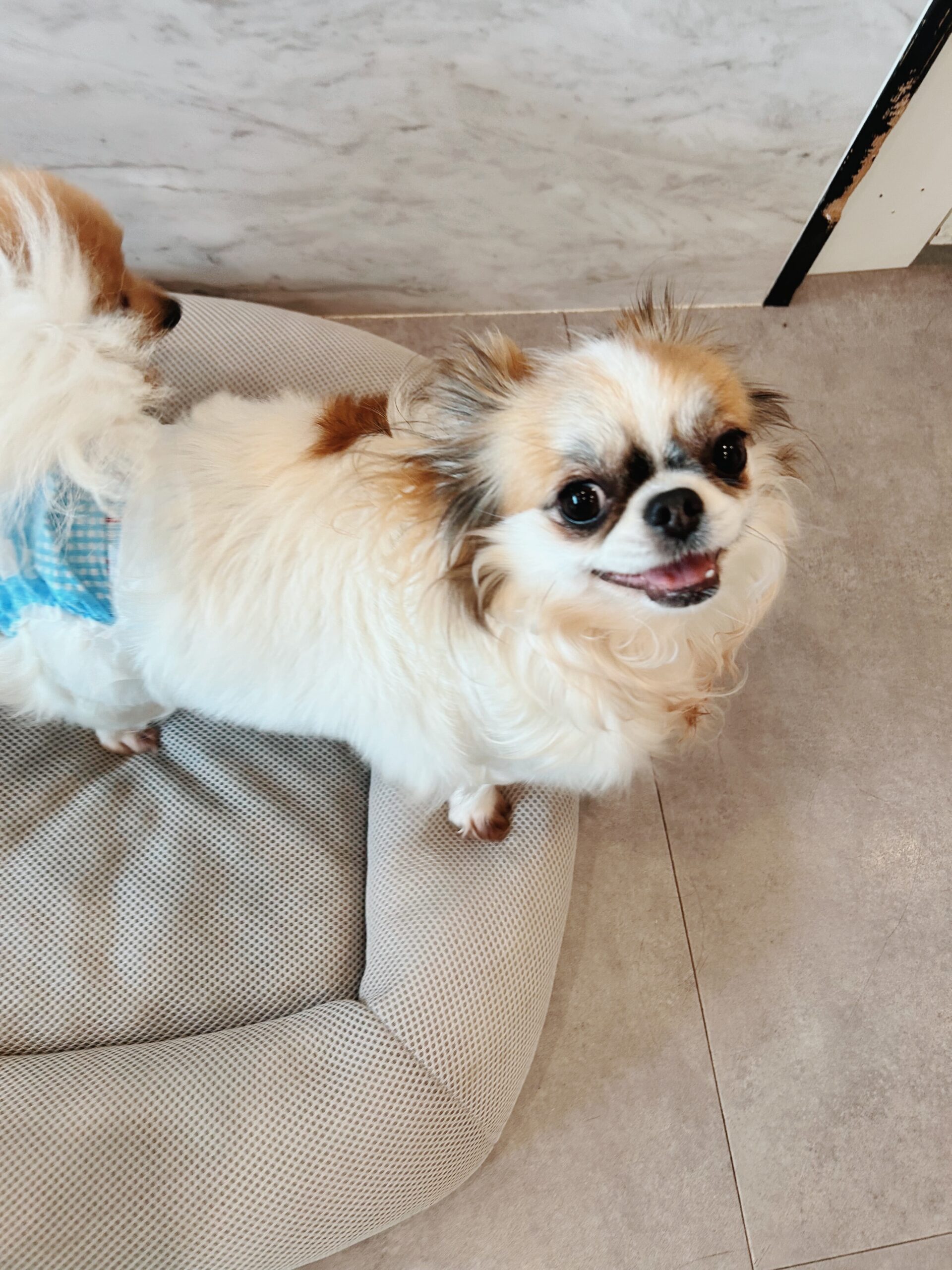 よりともの画像2