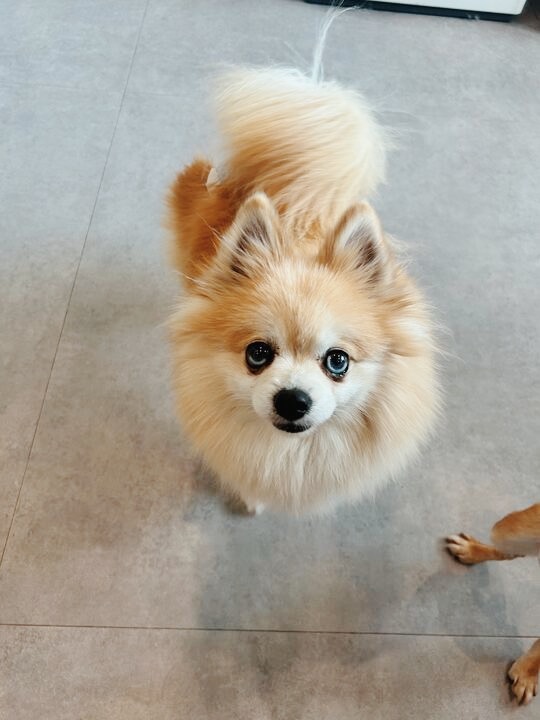 テキサスの画像2