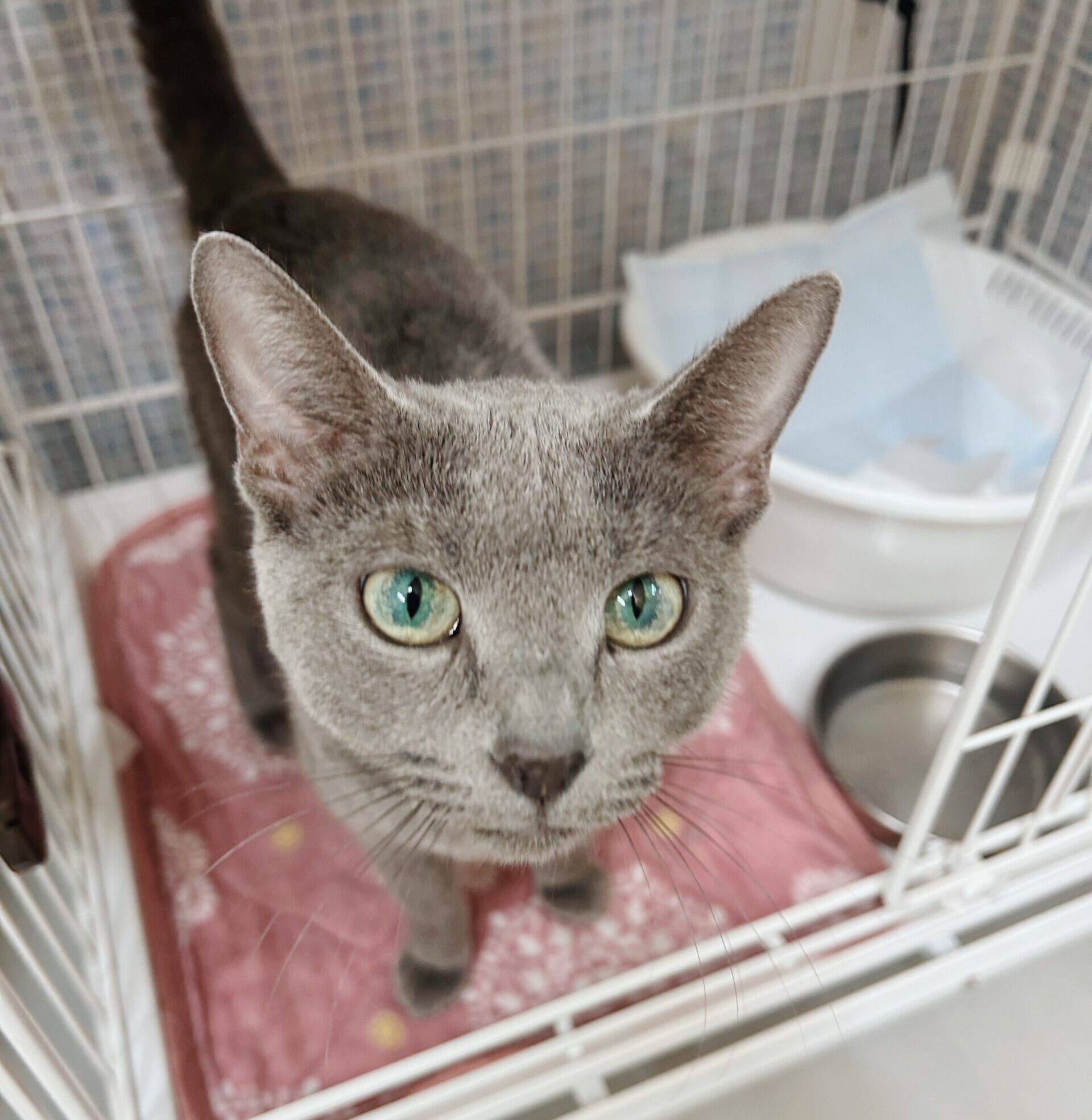 こうらくの画像2