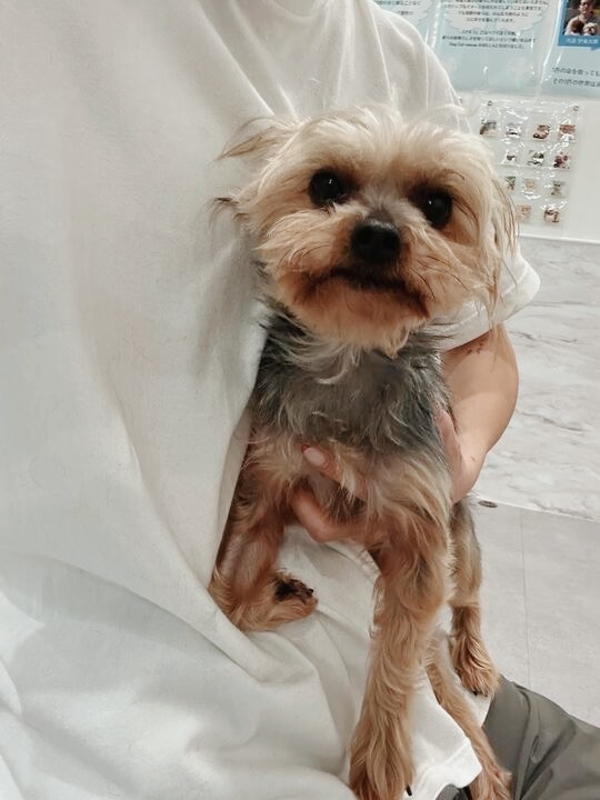 コロラドの画像3