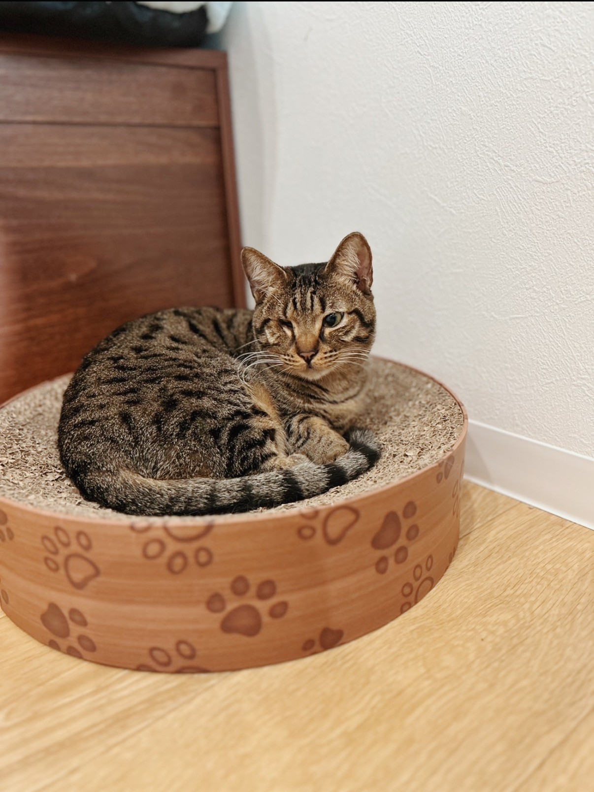 ライトニングの画像2