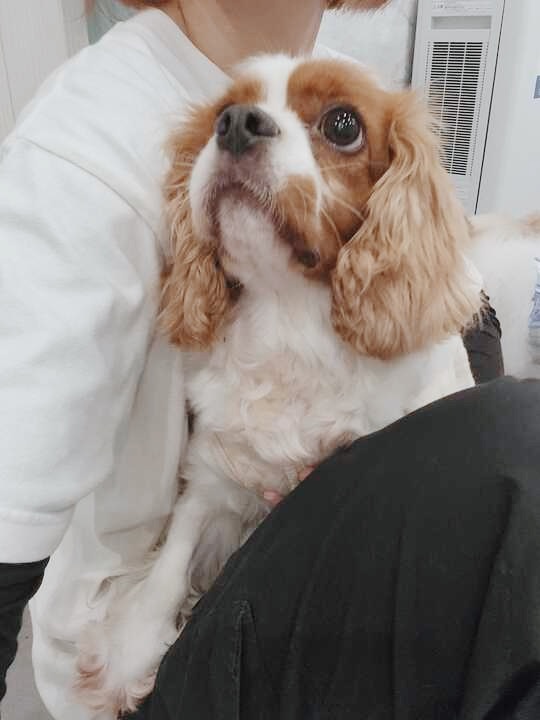 ただたかの画像3