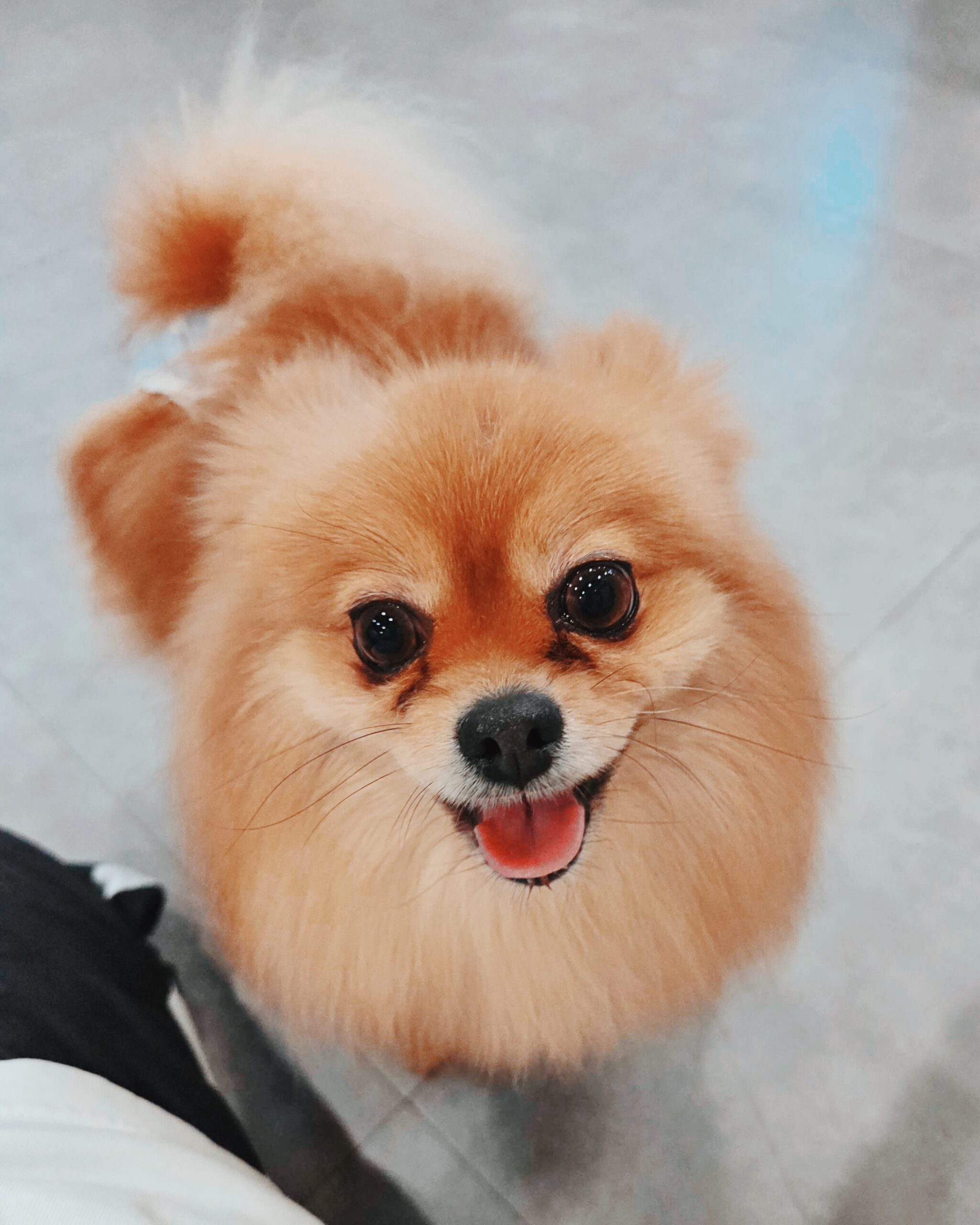 フロリダの画像2