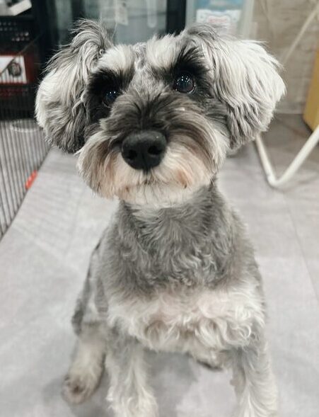 さんゆうていの画像2