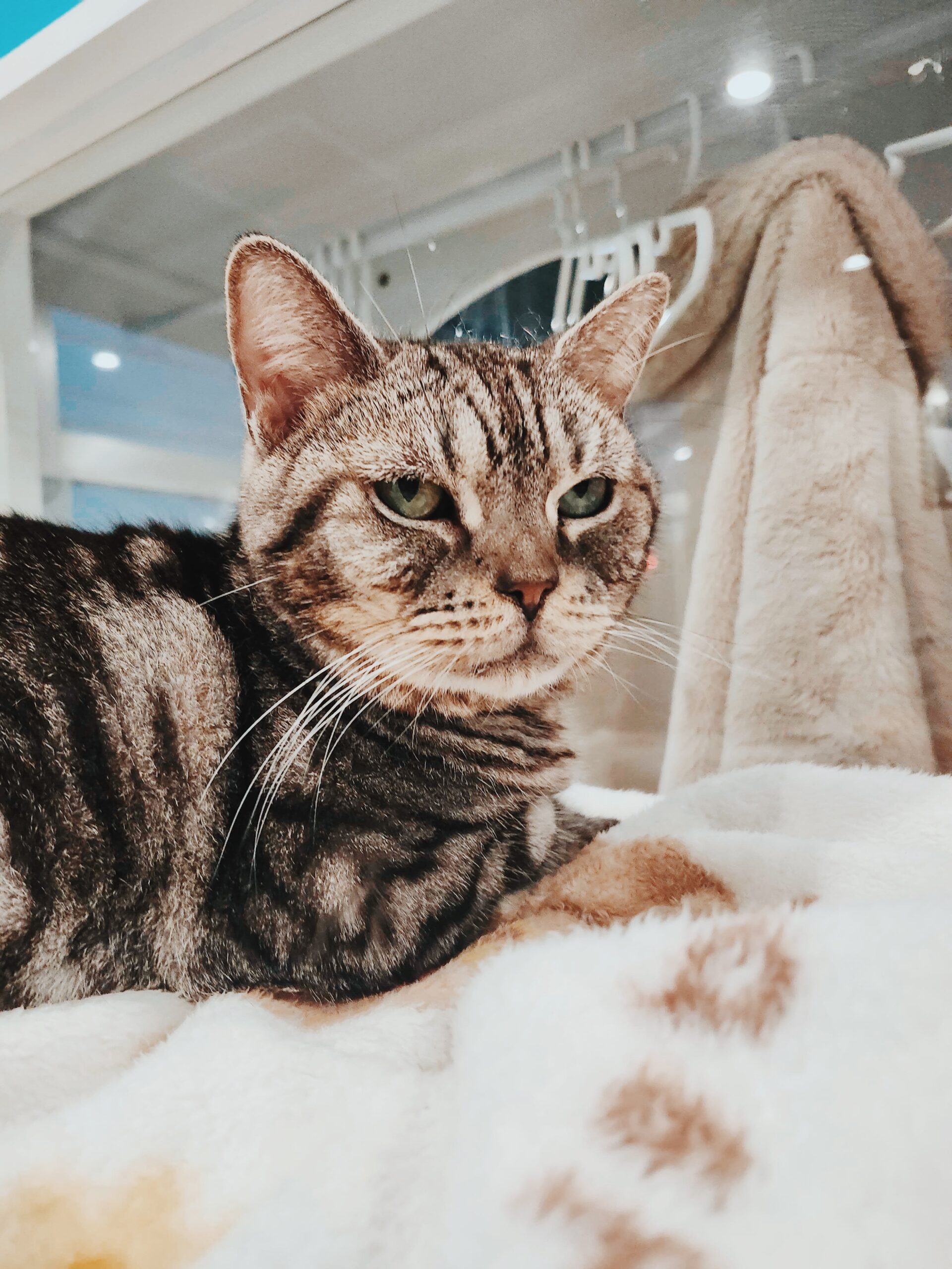 そうせきの画像2