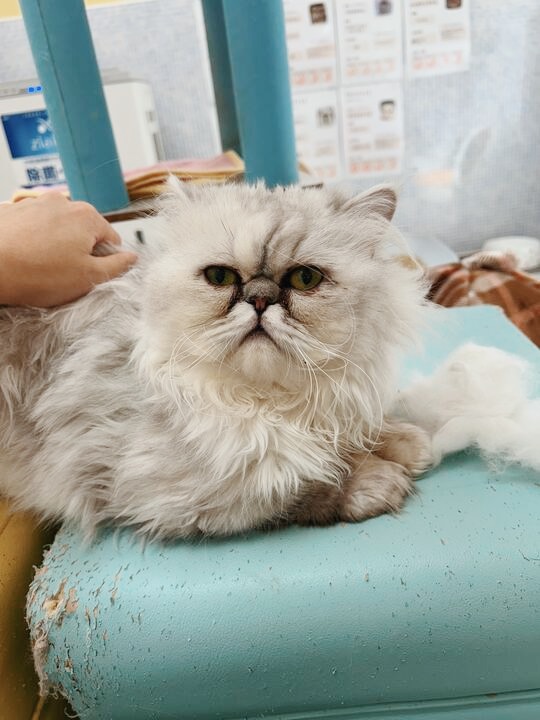 アクアマリンの画像3