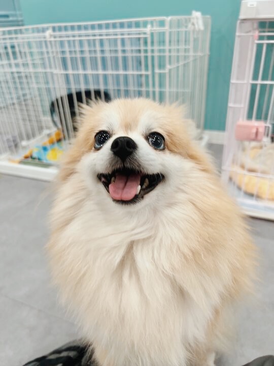 テキサスの画像1