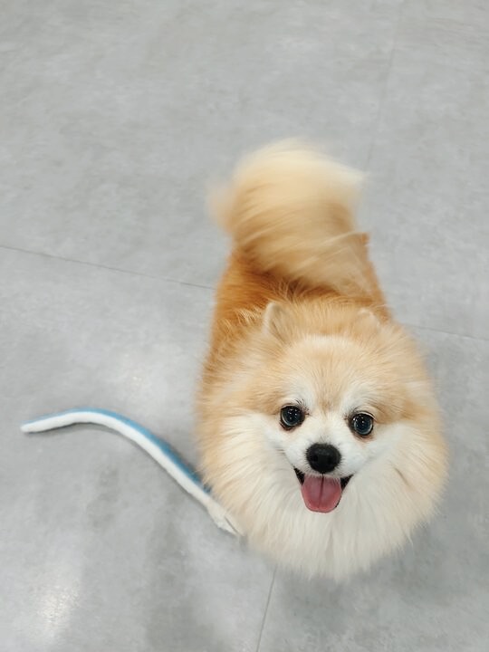 テキサスの画像3